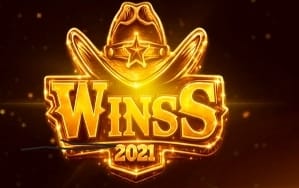 Winss